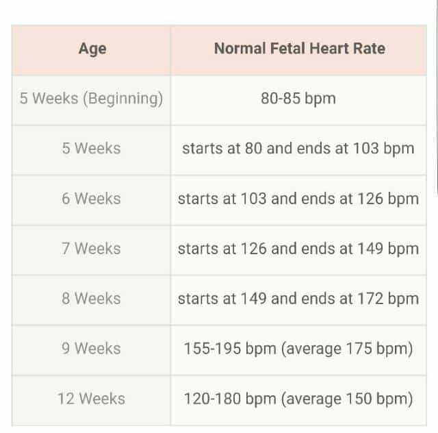 21 Awesome Fetal Heart Rate By Week Chart