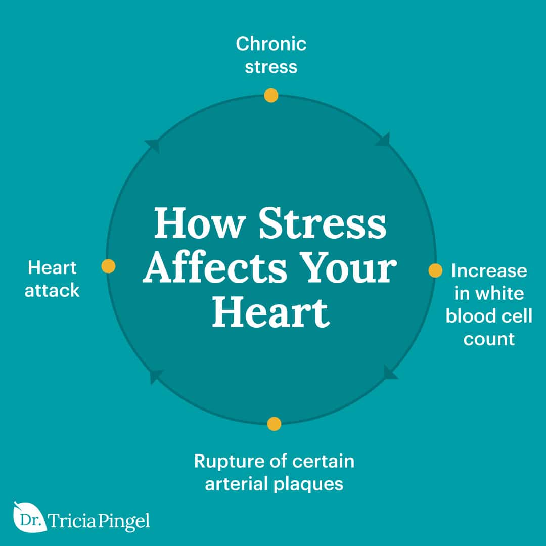 4 Effects of Stress on the Heart