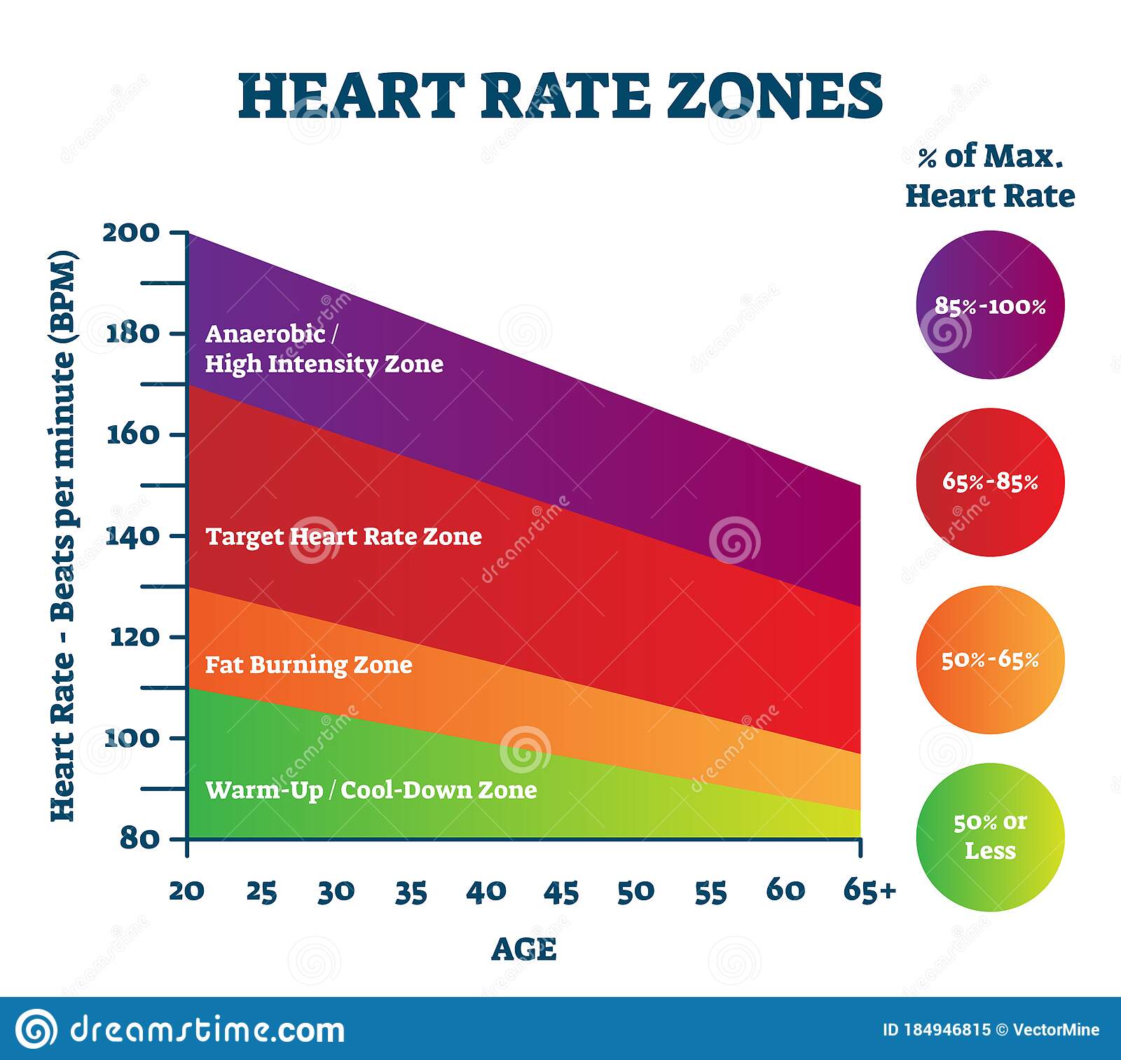 70ä»¥ä¸ max heart rate zone 211099