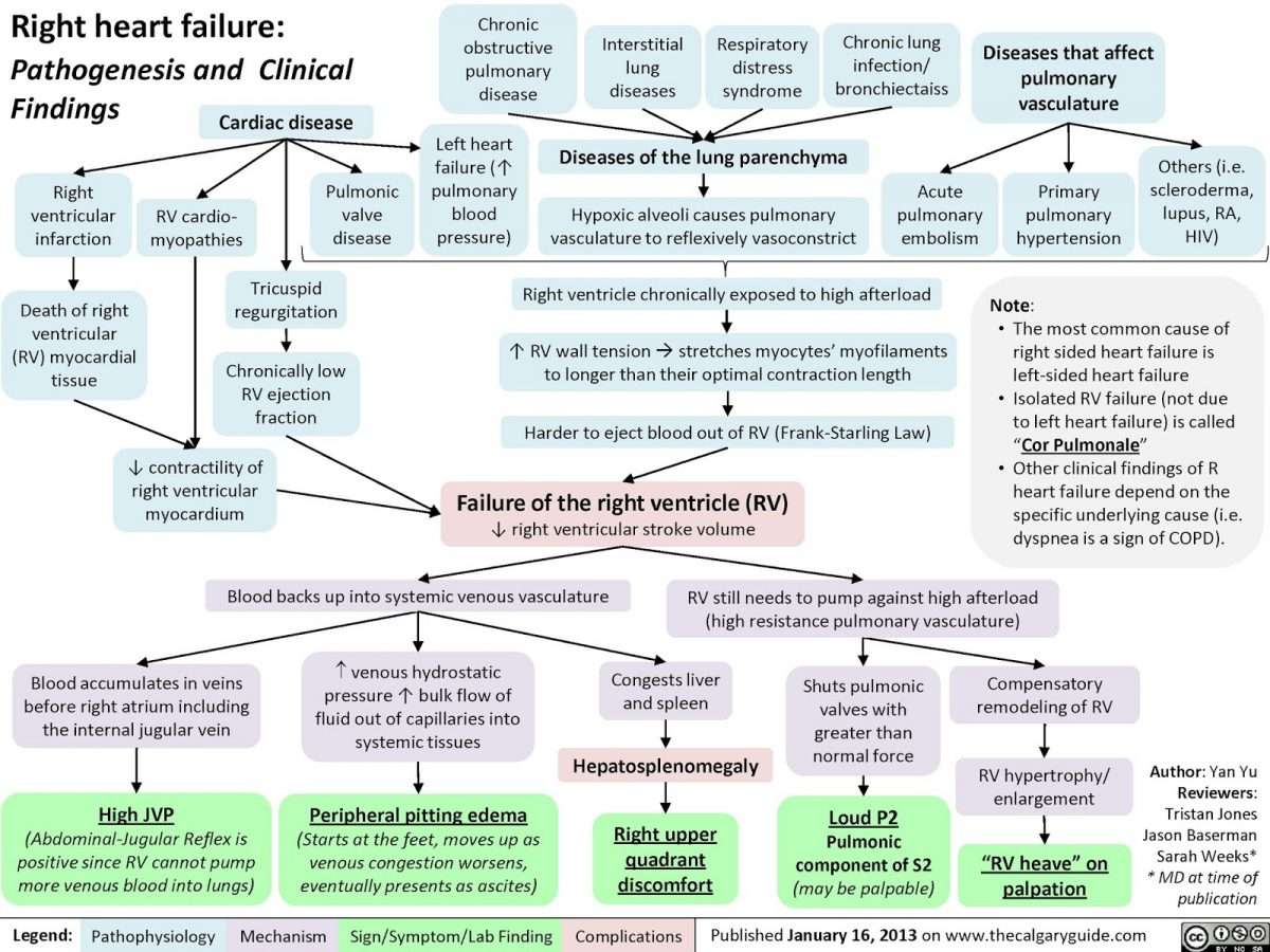 Adult Emergency Medicine: Right Sided Heart Failure