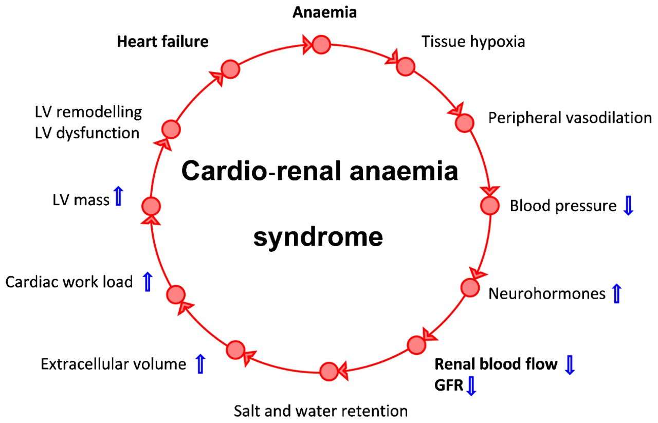 Anaemia and renal dysfunction in chronic heart failure