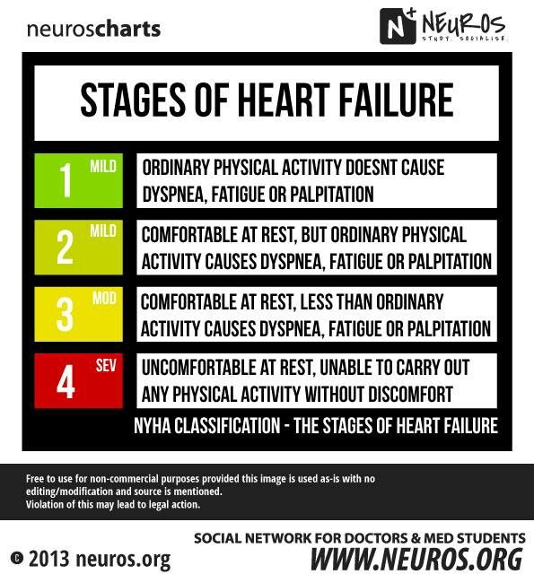 Best 25+ Stages of heart failure ideas on Pinterest