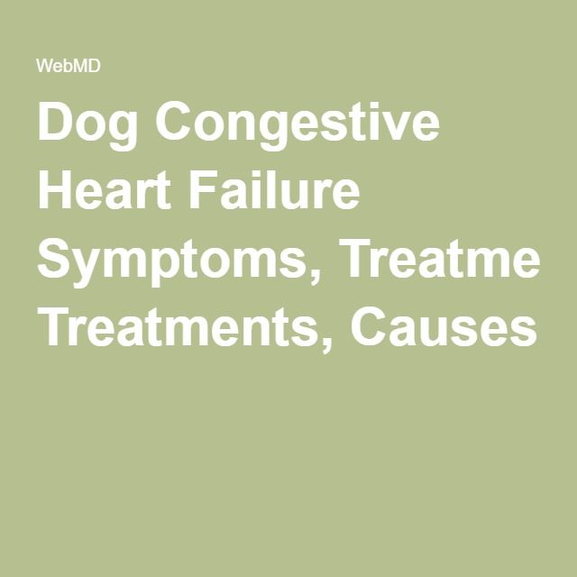 Blood Treatment For Cancer: Congestive Heart Failure In Dogs Treatment