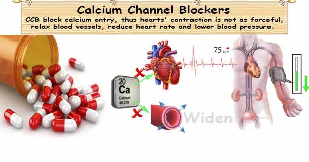 Calcium Channel Blockers Medications for Hypertension