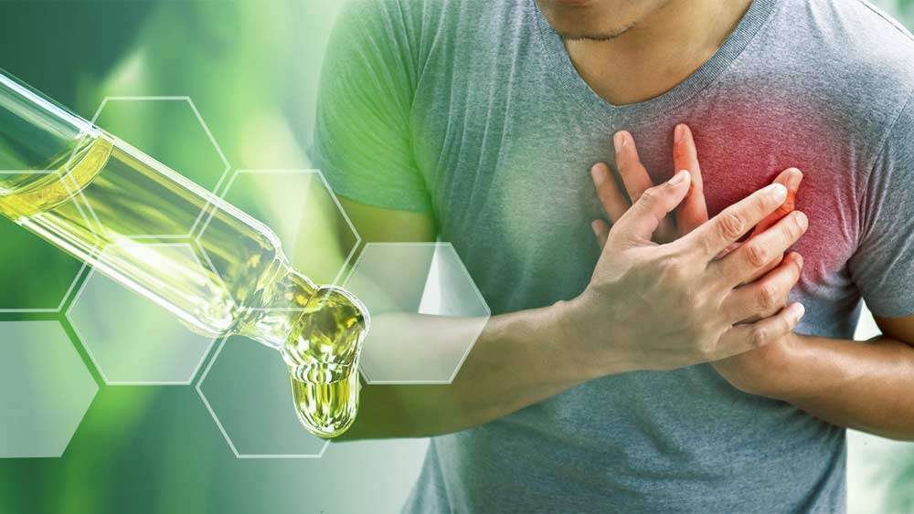 Cbd Oil Heart Palpitations » CBD Oil Treatments