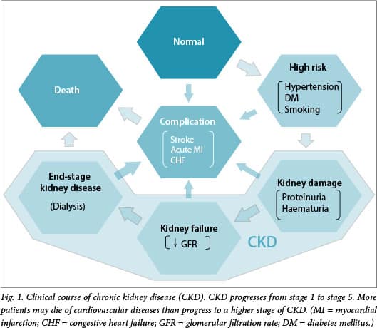 Clinical aspects of chronic kidney disease