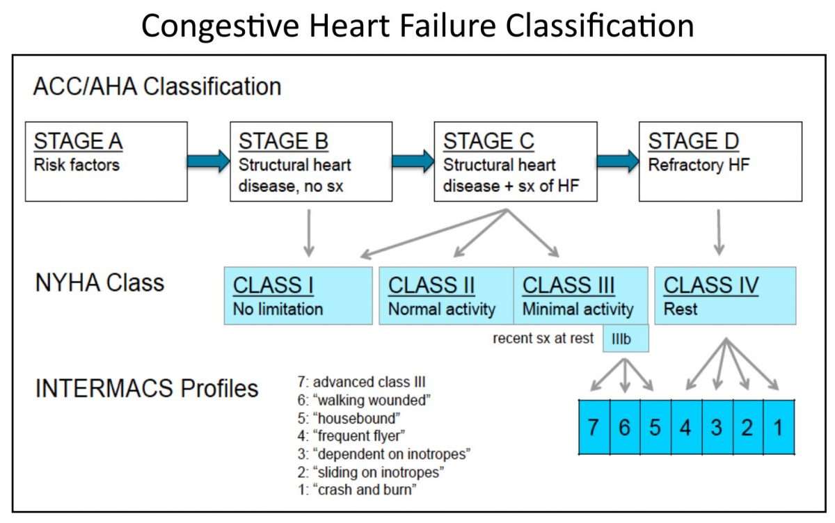 Congestive Heart Failure Classification ACC/AHA Classification ...