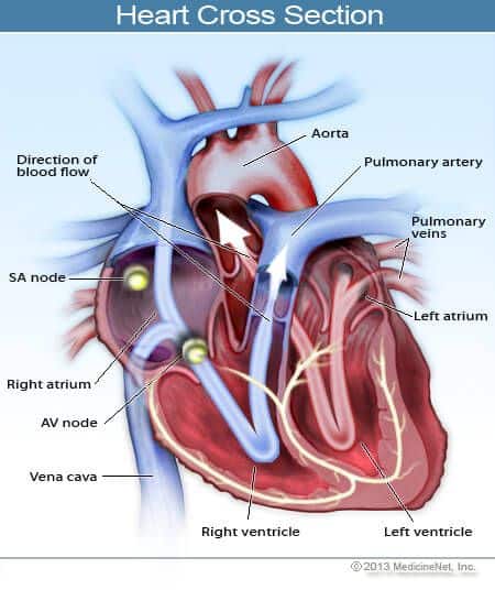 Congestive Heart Failure Symptoms, Stages, Life Expectancy