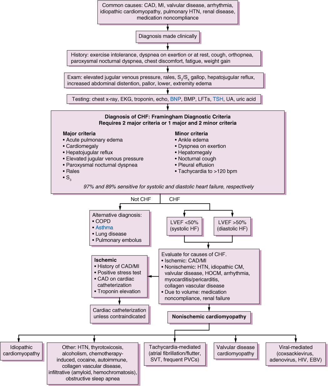 congestive_heart_failure_differential_diagnosis_map