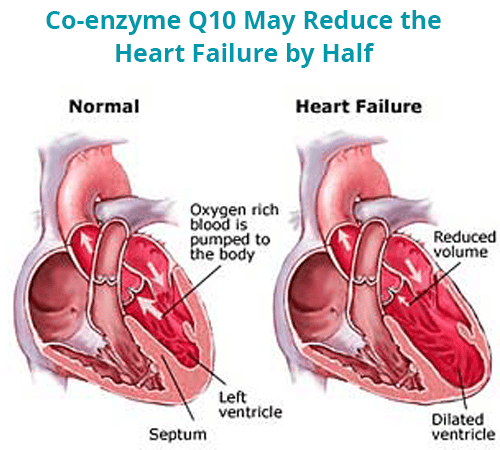 Coq 10 for Congestive Heart Failure