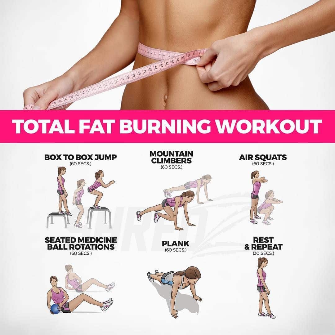 Daily 28 Days No Gym Total Body Workout Plan