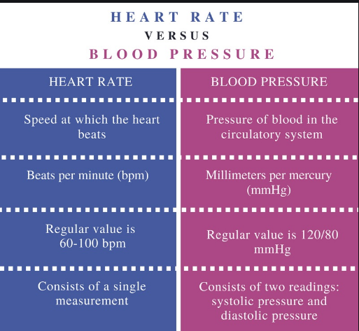 Difference Between Heart Rate And Pulse Rate