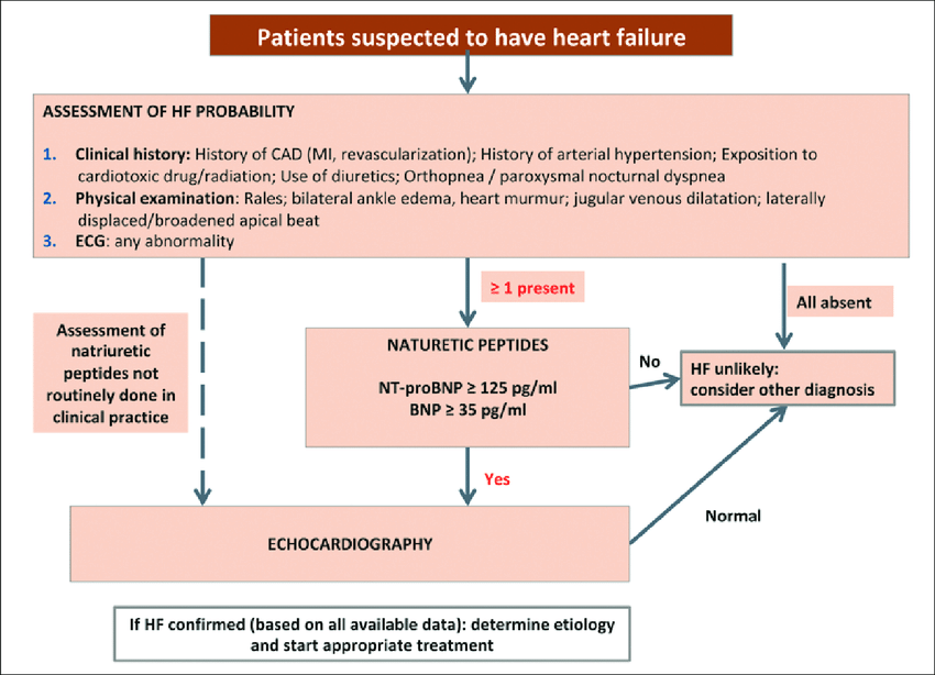 Flow chart for the diagnosis of heart failure (adapted ...