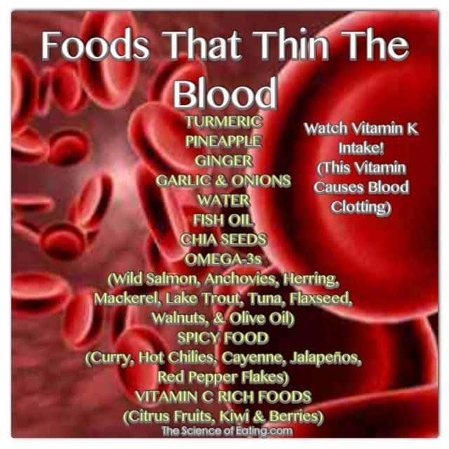 Foods that Thin the Blood
