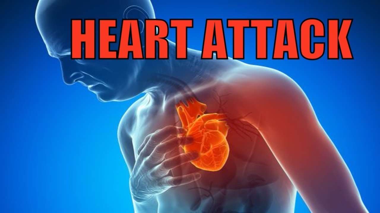 HEART ATTACK , WHAT HAPPENS TO YOUR BODY DURING A HEART ...