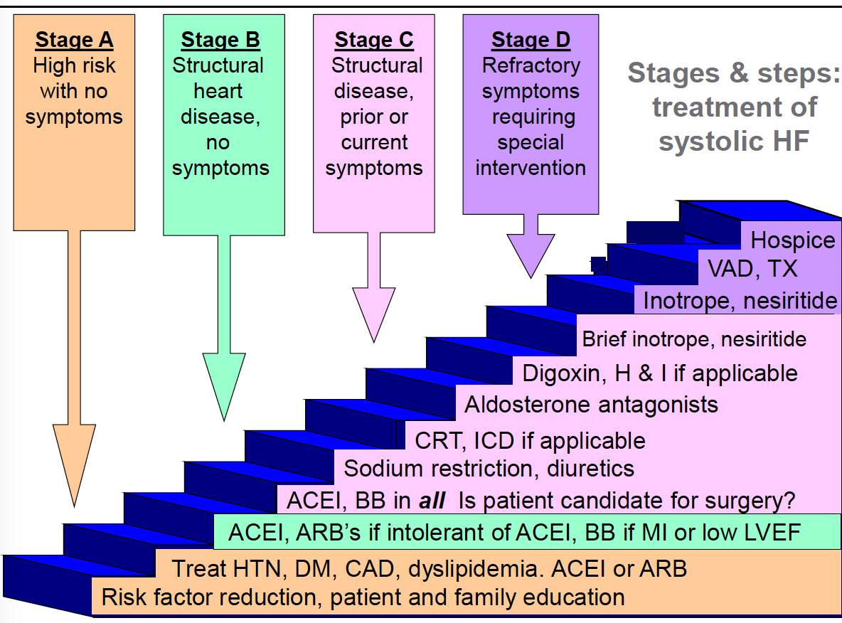 heart: Heart Failure Stages And Treatment