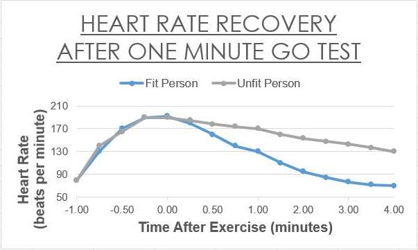 Heart Rate Recovery: An easy way to track your fitness ...