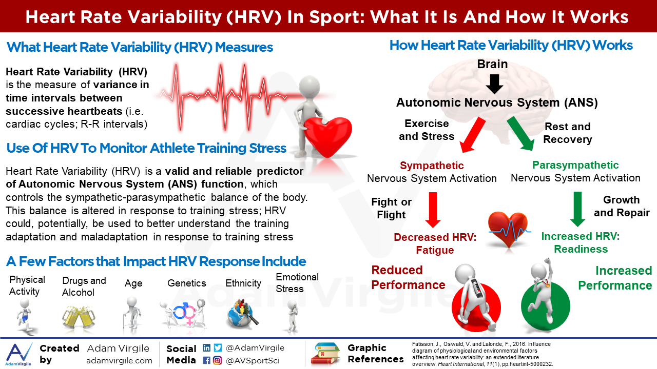 Heart Rate Variability (HRV) in Sport: A Review of the ...