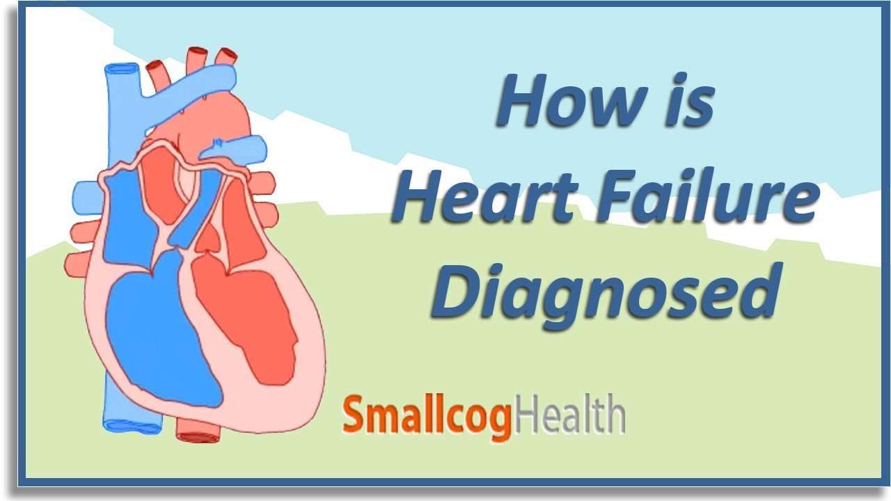 How is Heart Failure Diagnosed