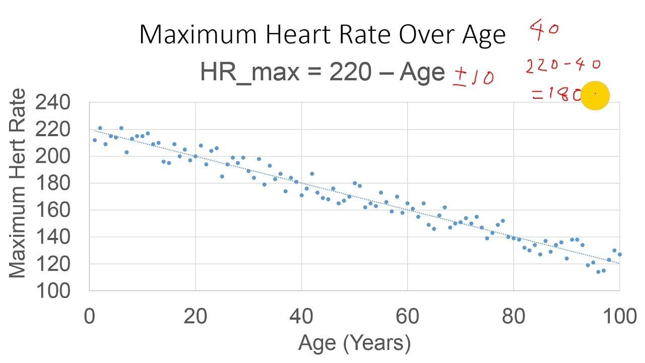 How to Calculate Maximum Heart Rate