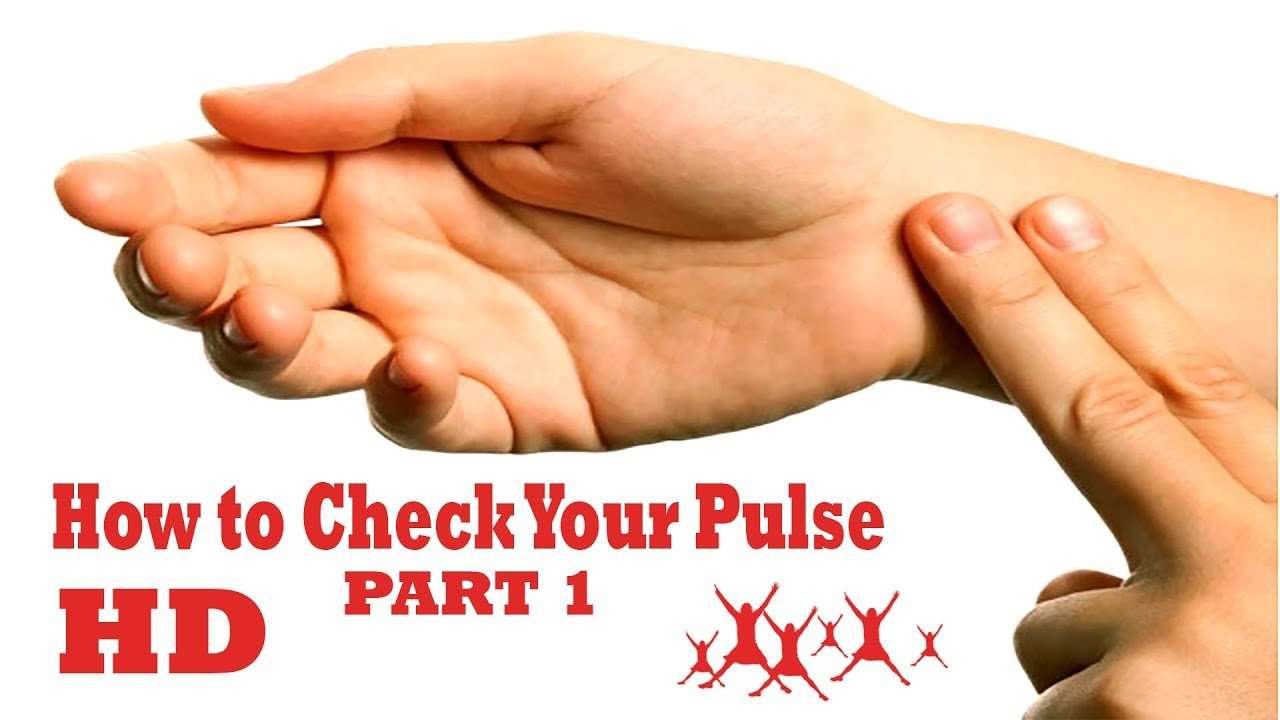 how to check your heart rate and Pulse