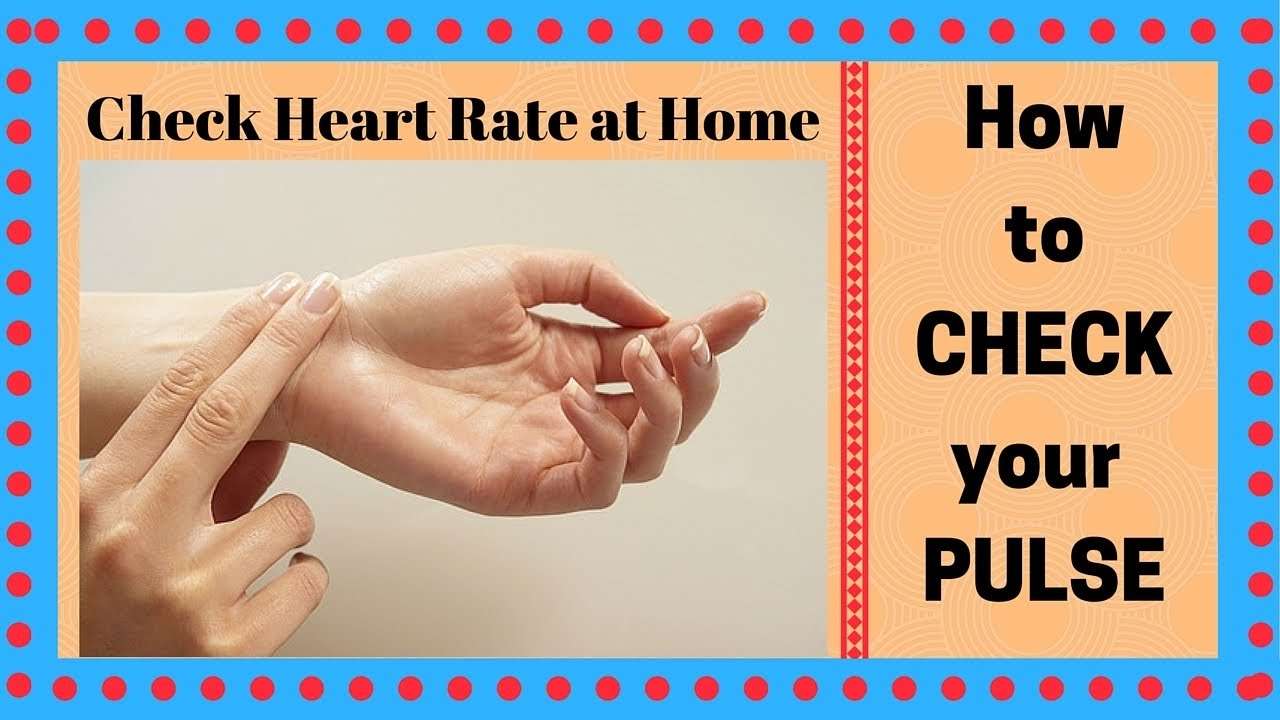 How To Check Your Heart Rate At Home
