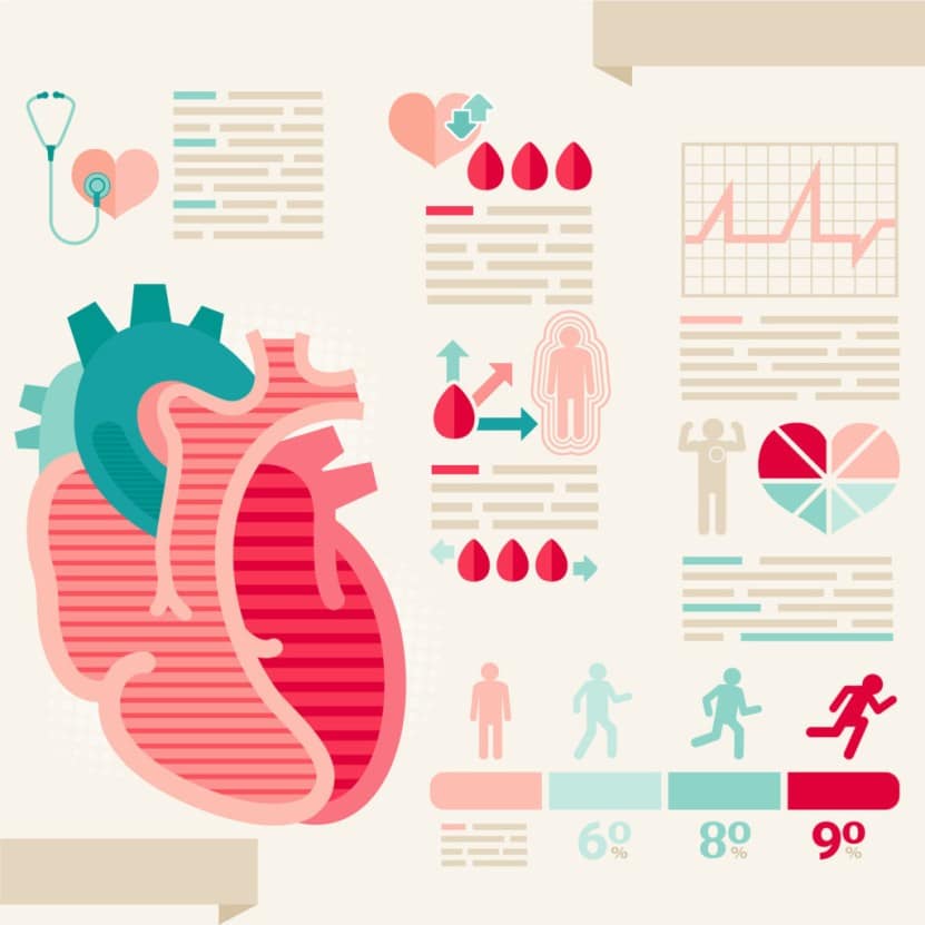 How To Determine Your Best Heart Rate To Burn Fat For Best Results ...
