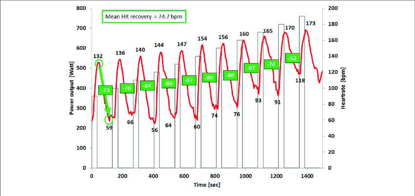 illustration of the heart rate time curve and the heart