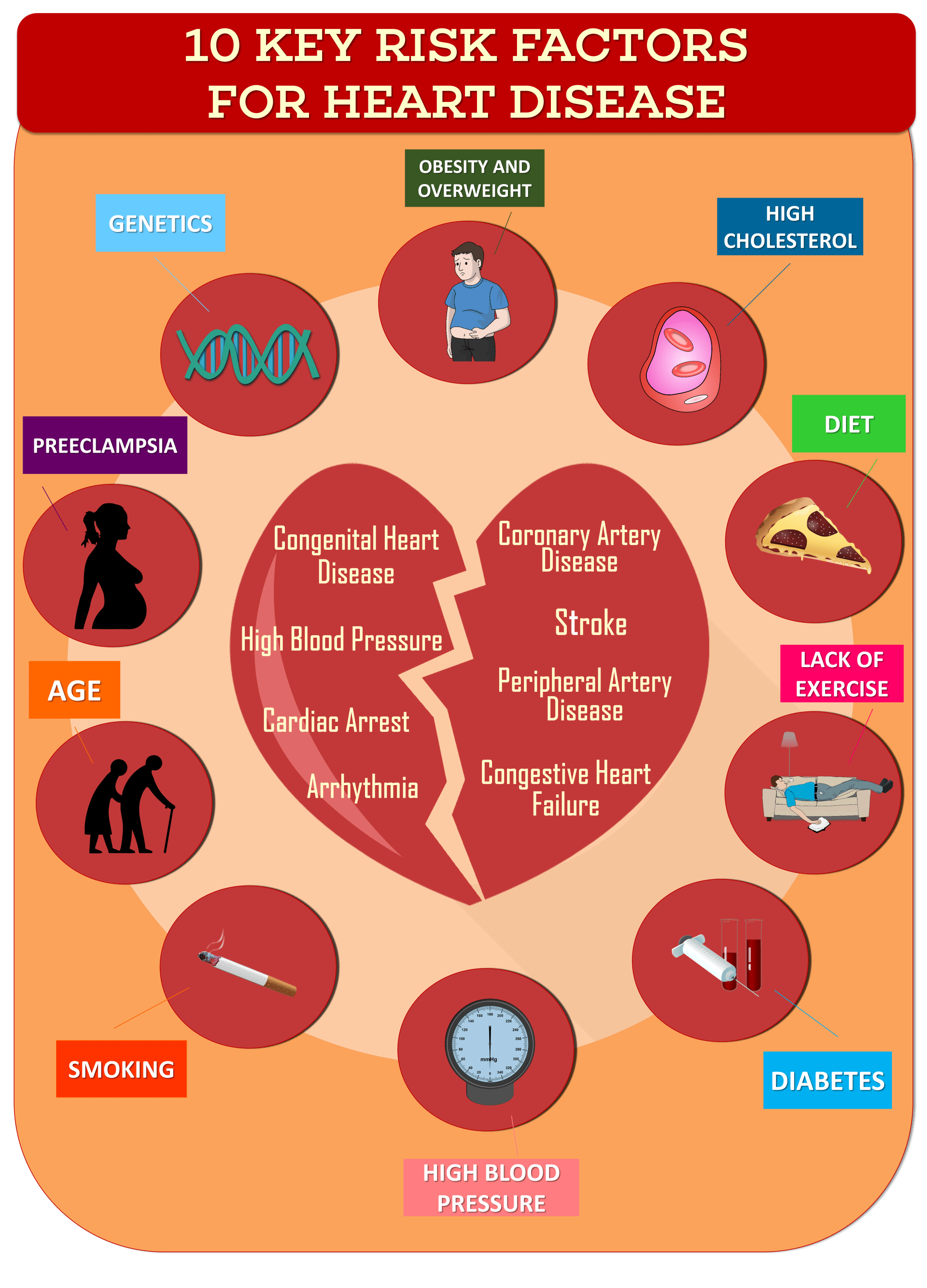 Key Risk Factors For Heart Disease