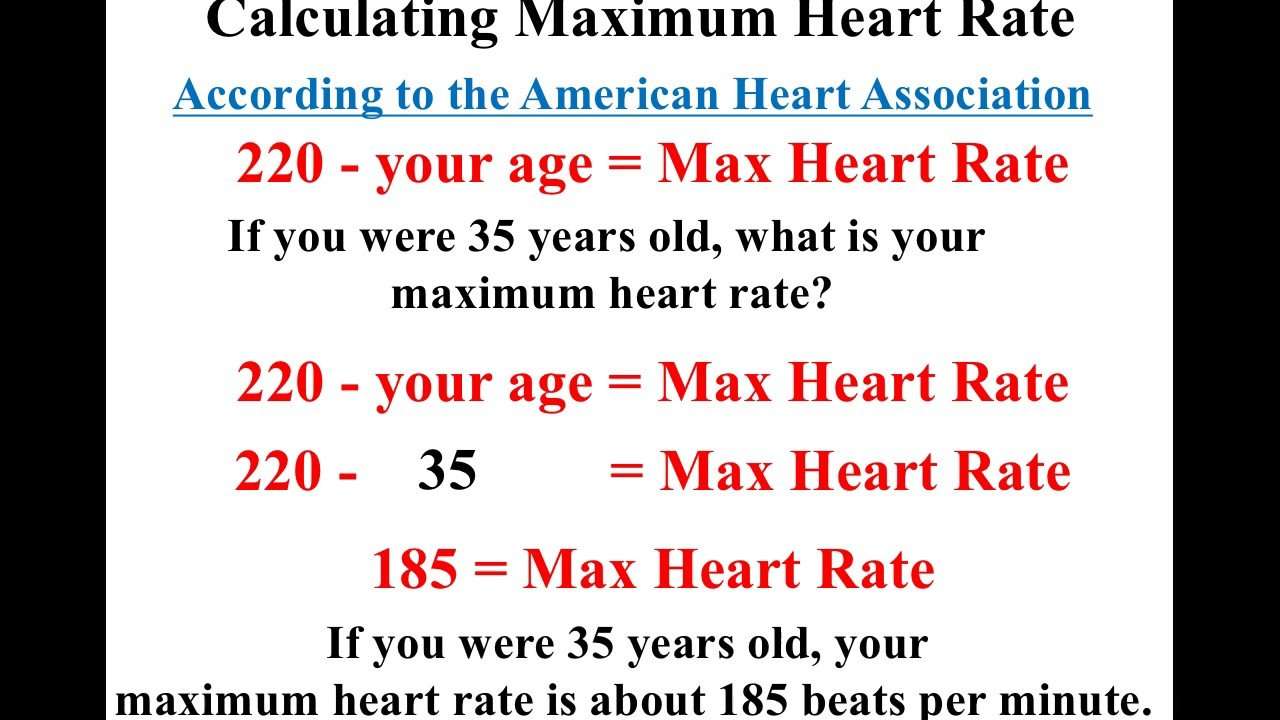 Maximum Heart Rate