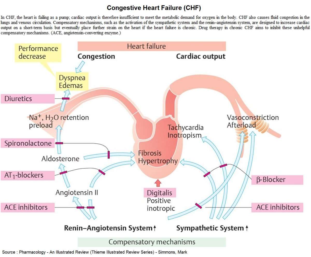 Medications Used in Congestive Heart Failure In CHF, ...