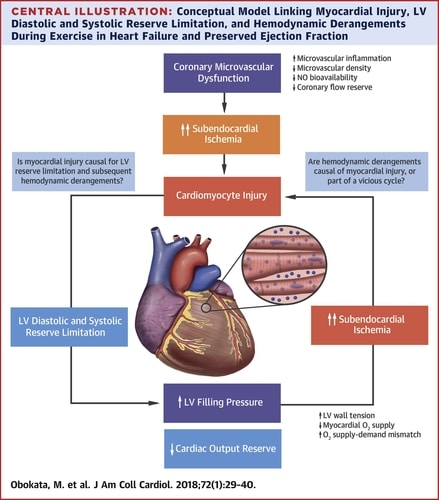 Myocardial Injury and Cardiac Reserve in Patients With Heart Failure ...