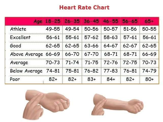 Normal heart rate for men  Steemit