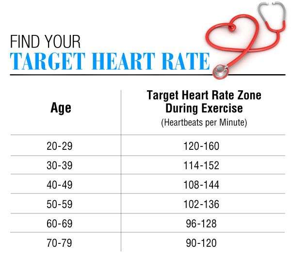 normal heart rate range chart