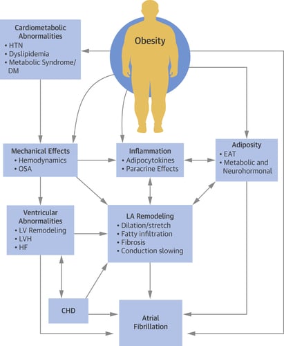 Obesity and Atrial Fibrillation Prevalence, Pathogenesis, and Prognosis ...