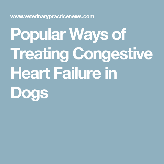 Popular Ways of Treating Congestive Heart Failure in Dogs