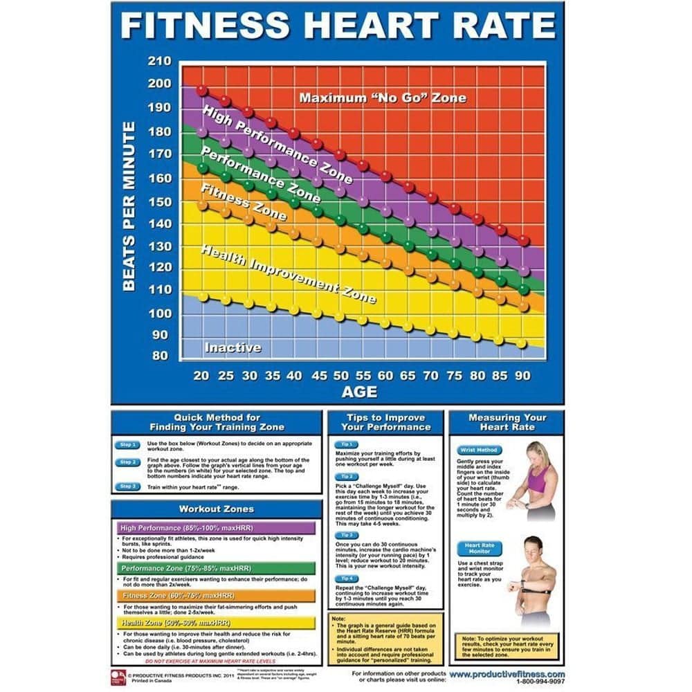 Productive Fitness Poster Series Heart Rate Chart Laminated