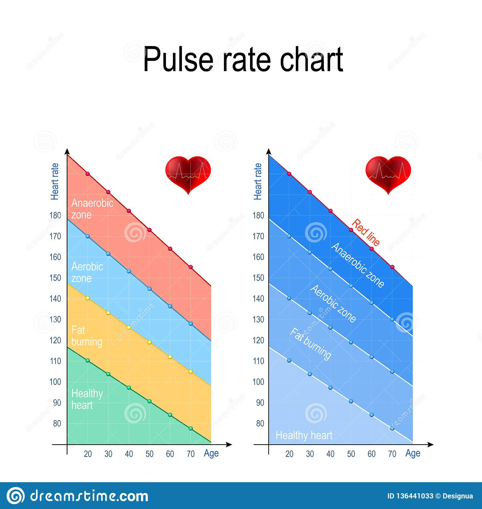 Pulse Rate Chart for Healthy Lifestyle. Maximum Heart Rate Stock Vector ...