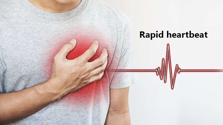Rapid Heartbeat: Symptoms, Causes, Treatment And Prevention