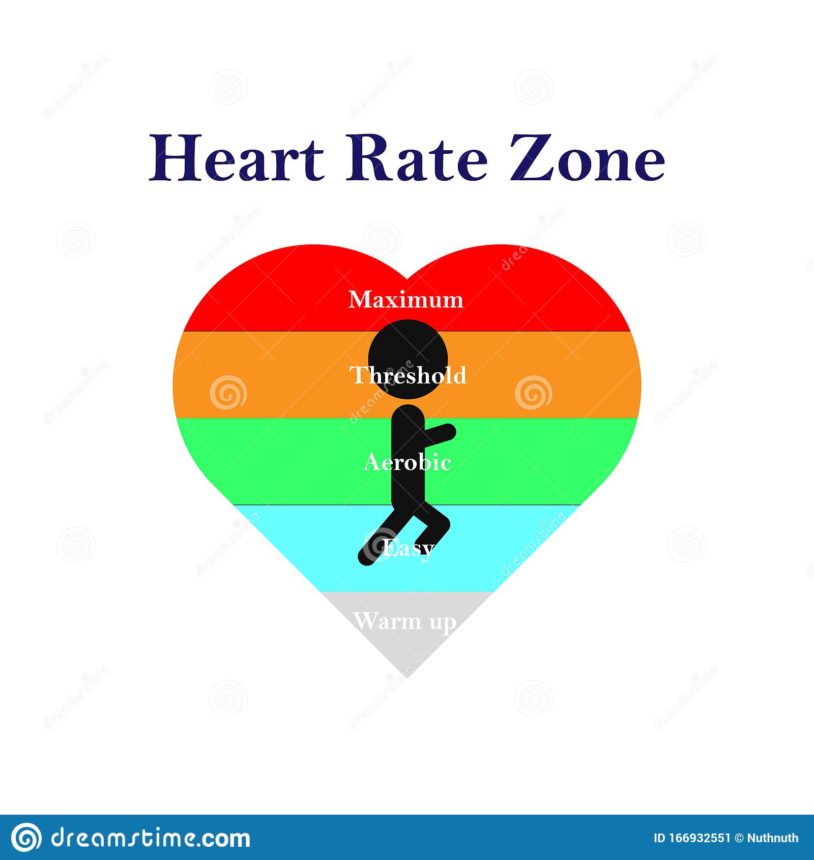 Run And Heart Rate Zone Infograph On White Background. Healthcare And ...