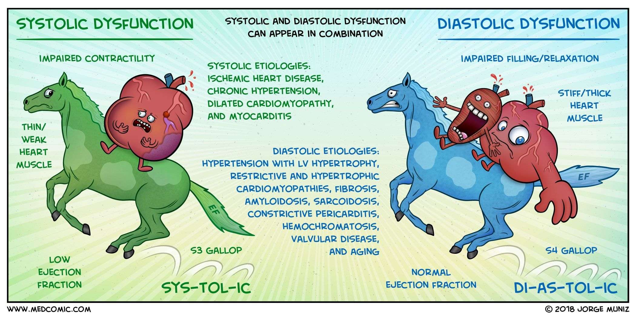 Systolic vs Diastolic Dysfunction