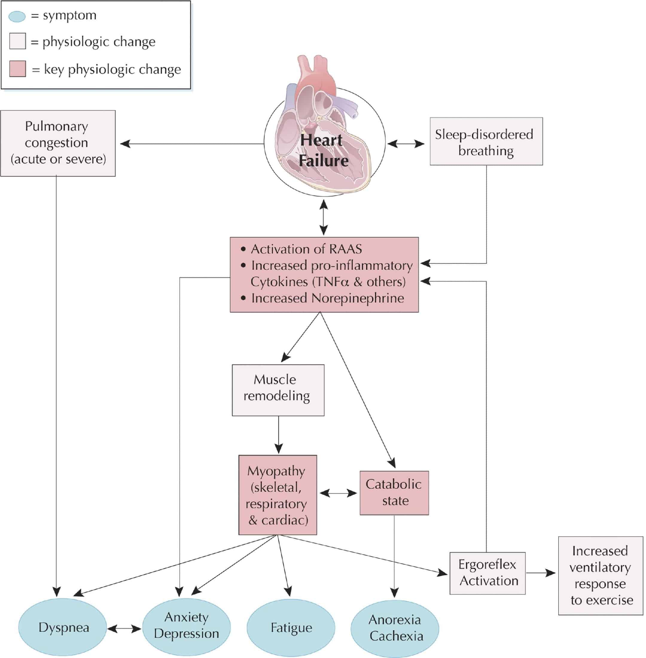 The Heart of the Matter: Palliative Care in Heart Failure