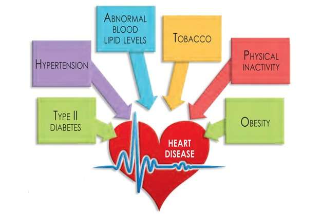 Understanding 8 Heart Disease Risk Factors