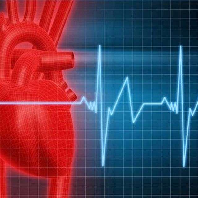 What Are the Causes of a Low Pulse Rate?