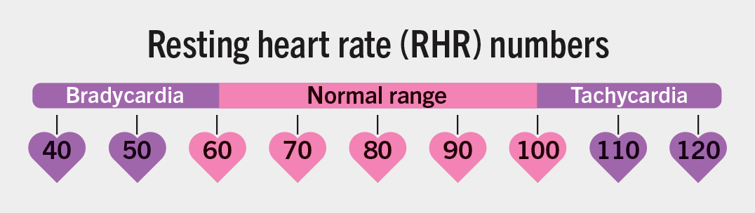 What your heart rate can tell you about your health ...
